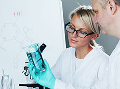 Desarrollo de Formulas